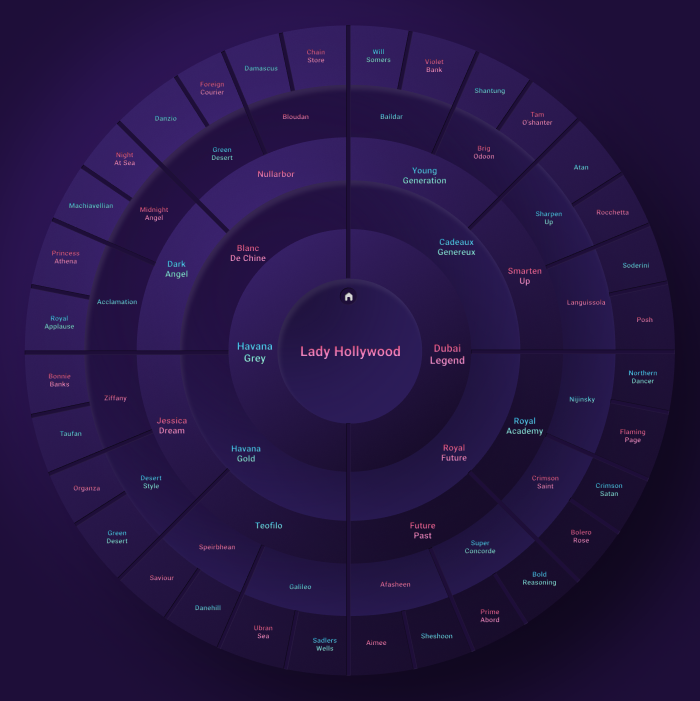 Omnihorse Pedigree Chart Final Design